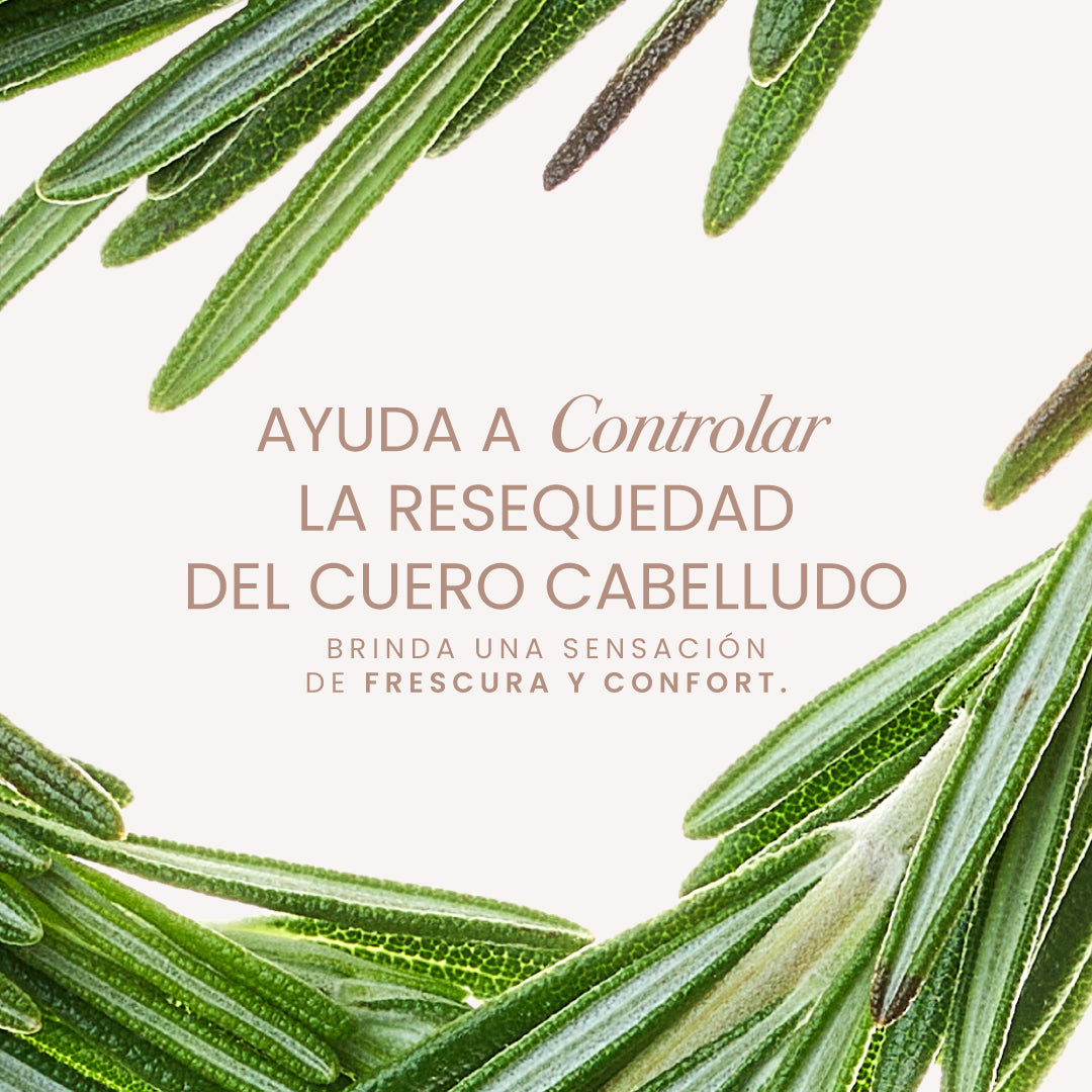 Aura Capilar - 2 | Anyeluz Resultados Reales