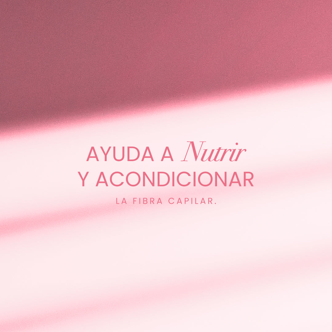 Óleo de Argán para un cabello sedoso y con brillo - 3 - New | Anyeluz