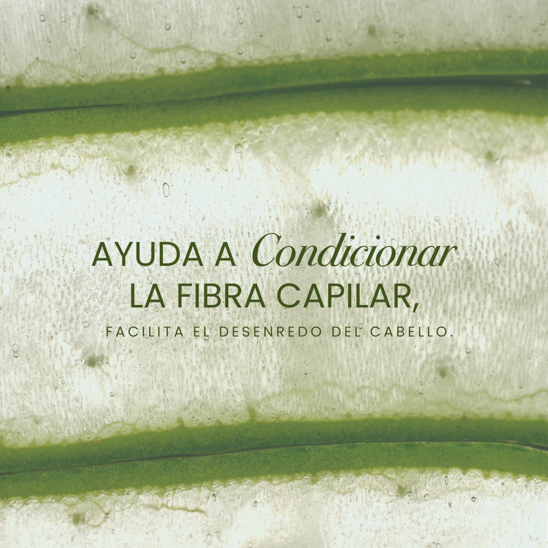 Acondicionador Ginseng y Aloe Vera -3 | Anyeluz Resultados Reales