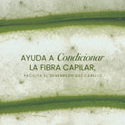 Acondicionador Ginseng y Aloe Vera -3 | Anyeluz Resultados Reales