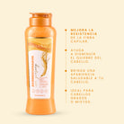 Acondicionador Ginseng - 2 | Anyeluz Resultados Reales