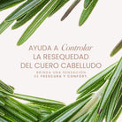 Aura Capilar - 2 | Anyeluz Resultados Reales
