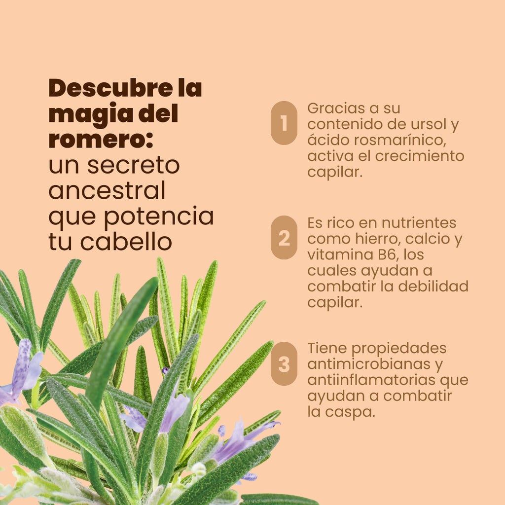 Shampoo de romero (Crecimiento capilar) ANYELUZ Anyeluz