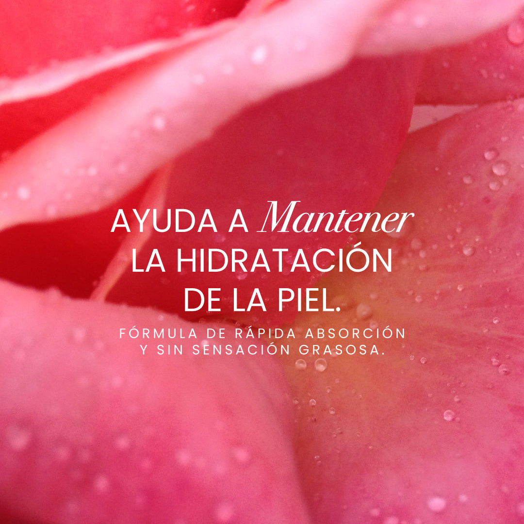 Crema Humectante -3 | Anyeluz Resultados Reales