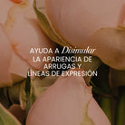 Crema Rejuvenecedora Linea Radiant 3 | Anyeluz Resultados Reales
