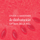 Jalea Limpiadora Facial - 2 | Anyeluz Resultados Reales