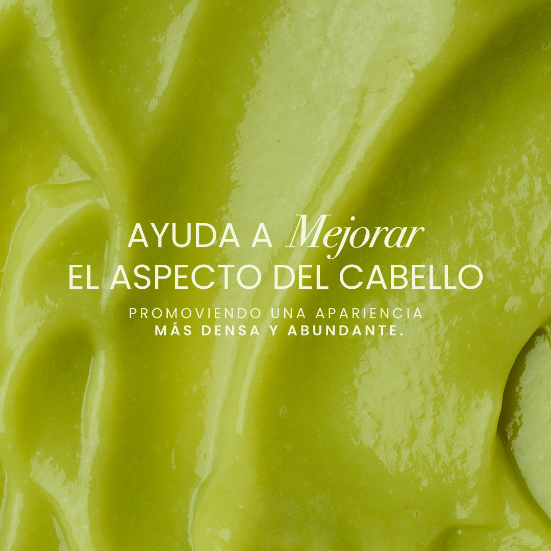 Shampoo con Aguacate sin Sal - 3 | Anyeluz Resultados Reales