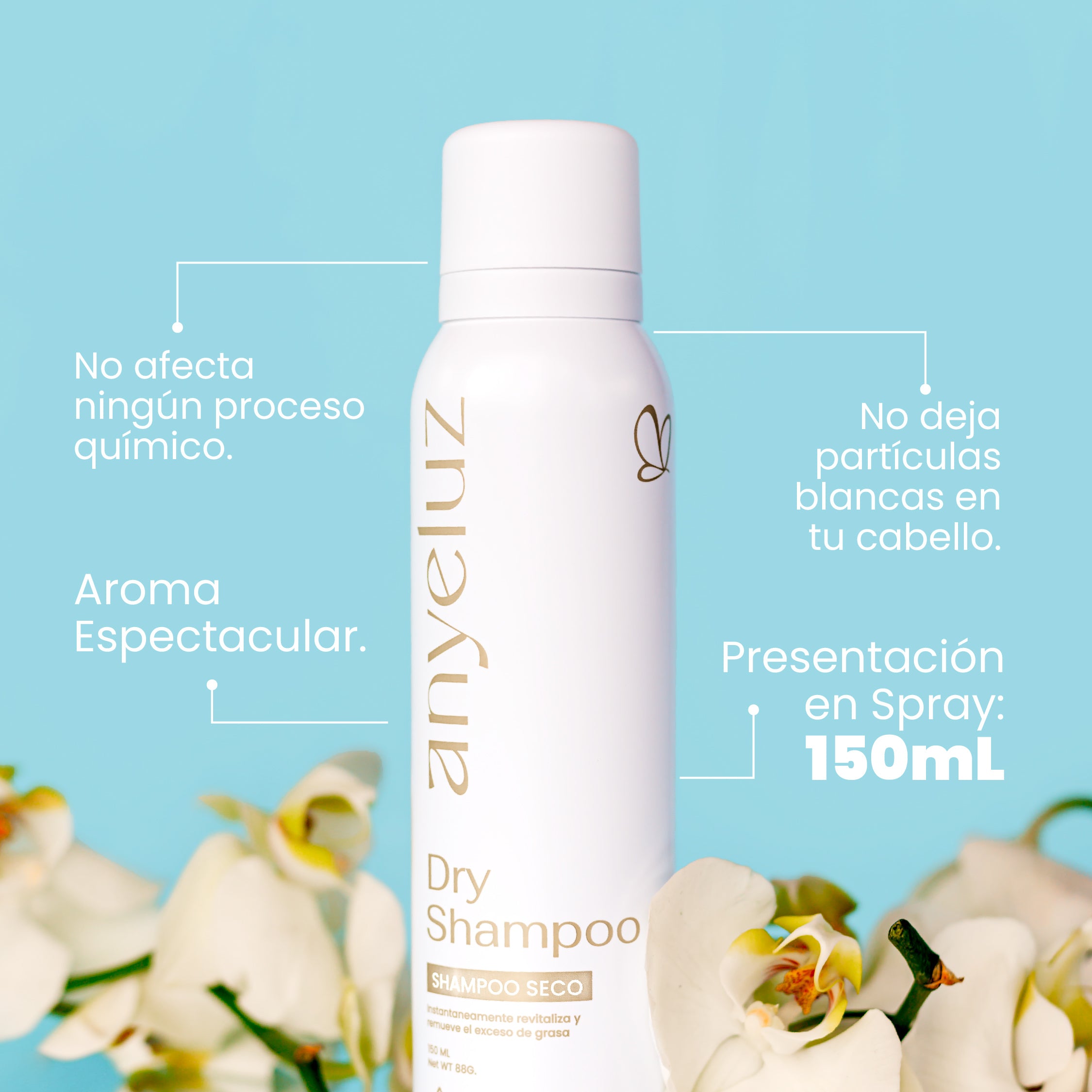 shampoo-seco