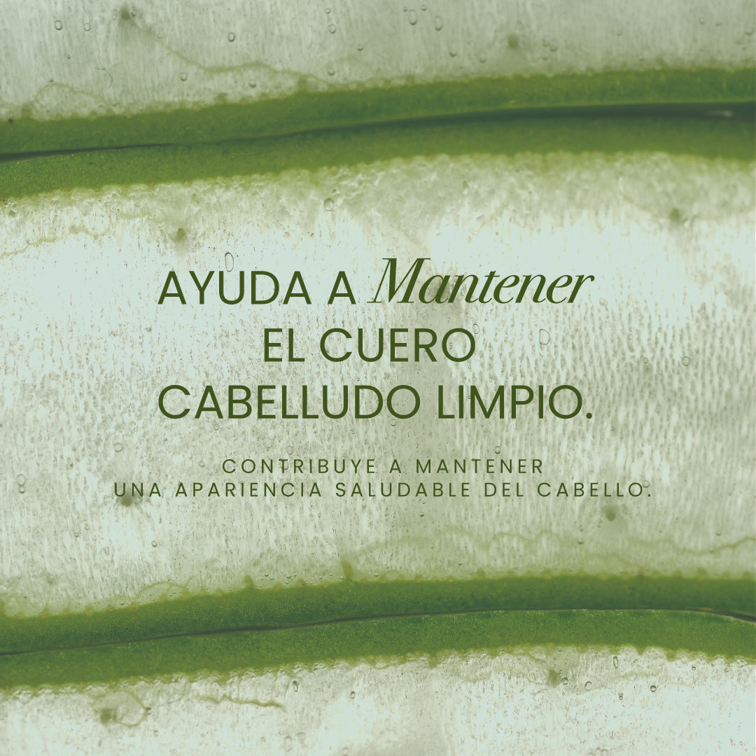 Shampoo con Aloe Vera - 3 | Anyeluz Resultados Reales