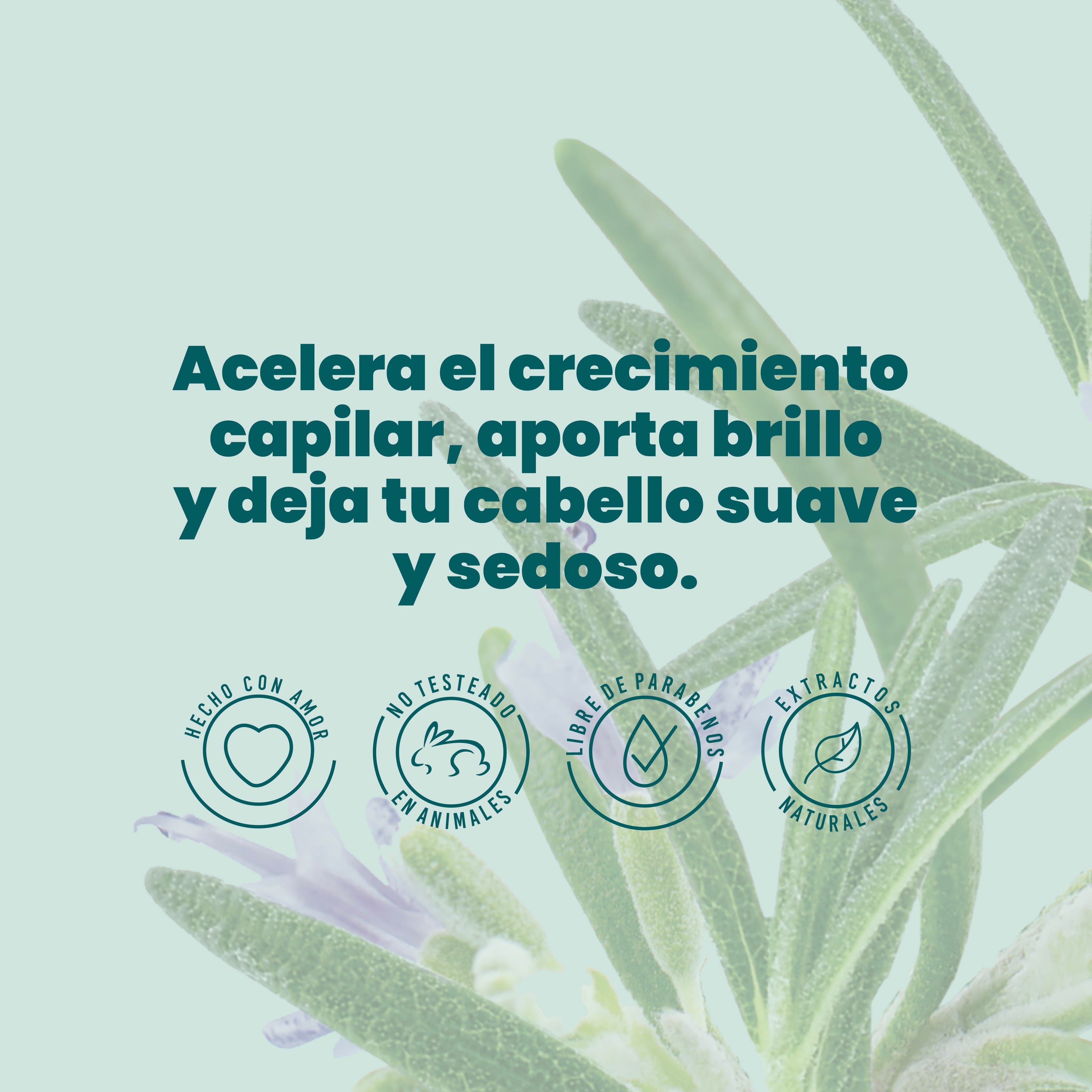 Shampoo de romero (Crecimiento capilar) ANYELUZ Anyeluz