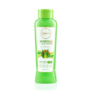SHAMPOO CON ALOE VERA ANYELUZ