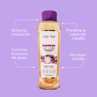 Shampoo de Cebolla Anyeluz 3